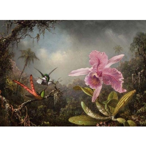 Едуар Мане - Орхидея с две птички 1871 - 8