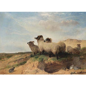 - Пясъчен хълм 1853 - 11