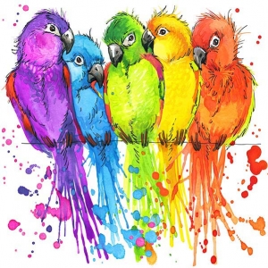 - Цветни акварелни папагалчета - 7