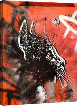 Улична котка