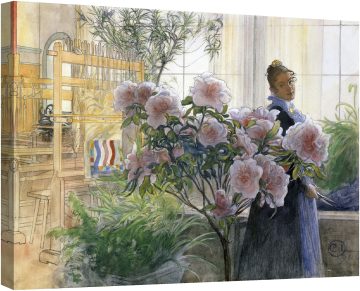Азалии 1906