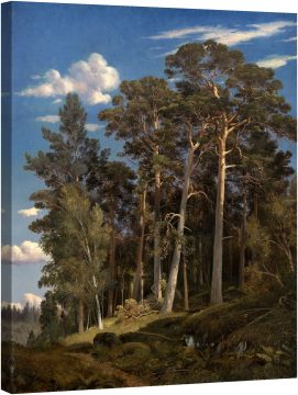 Борова гора (1866)