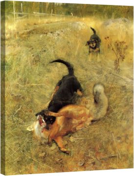 Лов на лисица