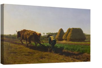 Сцена на оран 1854