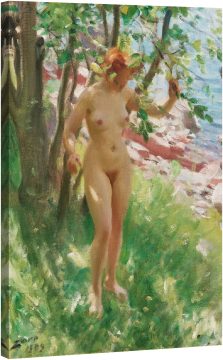 Сянка 1909