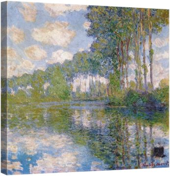 Тополи край р.Епте