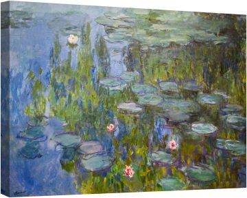 Водни лилии  1