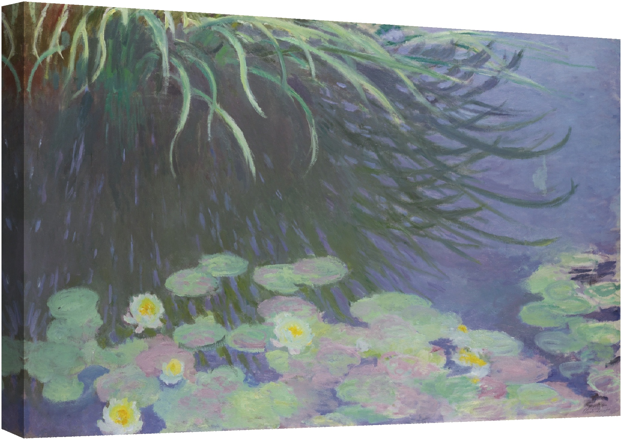 Водни лилии 1840-1926