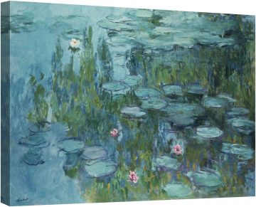 Водни лилии 4