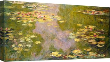 Водни лилии 6