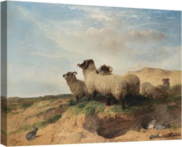 Пясъчен хълм 1853
