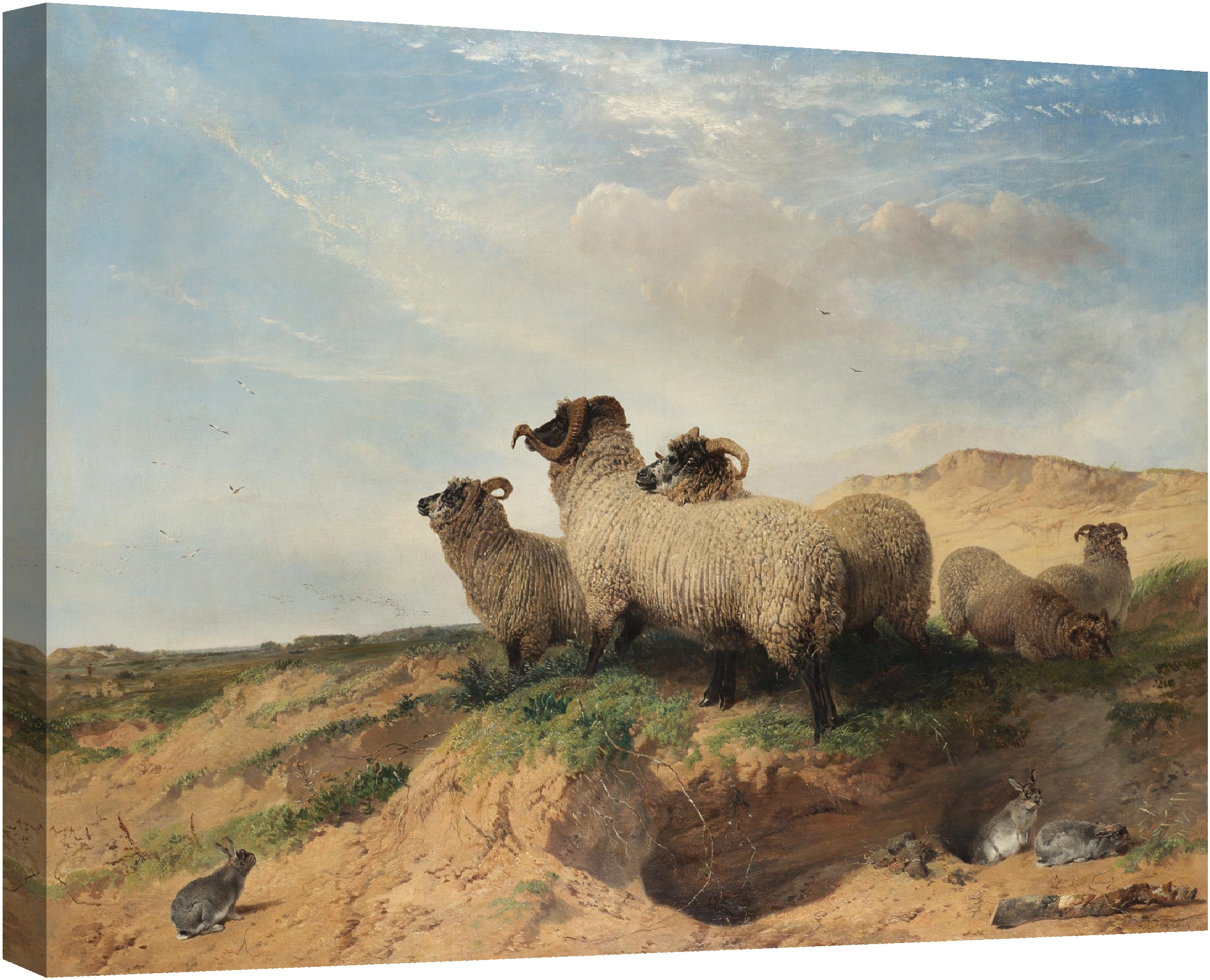 Пясъчен хълм 1853