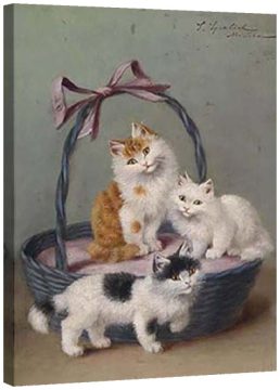 Котета в кошница