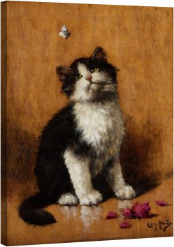 Котенца с пеперуда