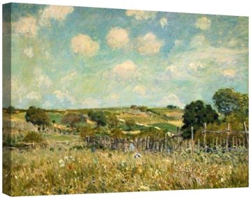 Поляна 1875