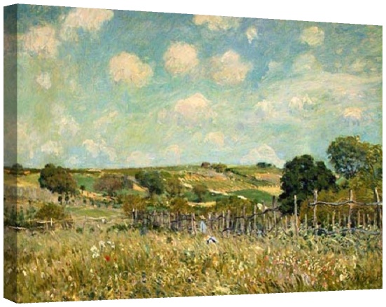 Поляна 1875