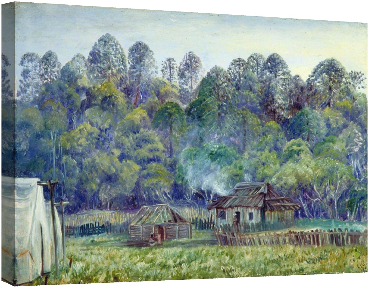 Нашият лагер в планината Буня, Куинсланд